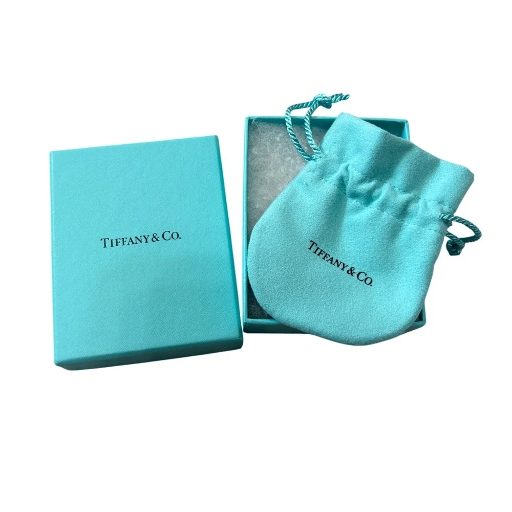 Tiffany & Co. Empty Jewelry Box and Pouch Set In Tiffany Blue